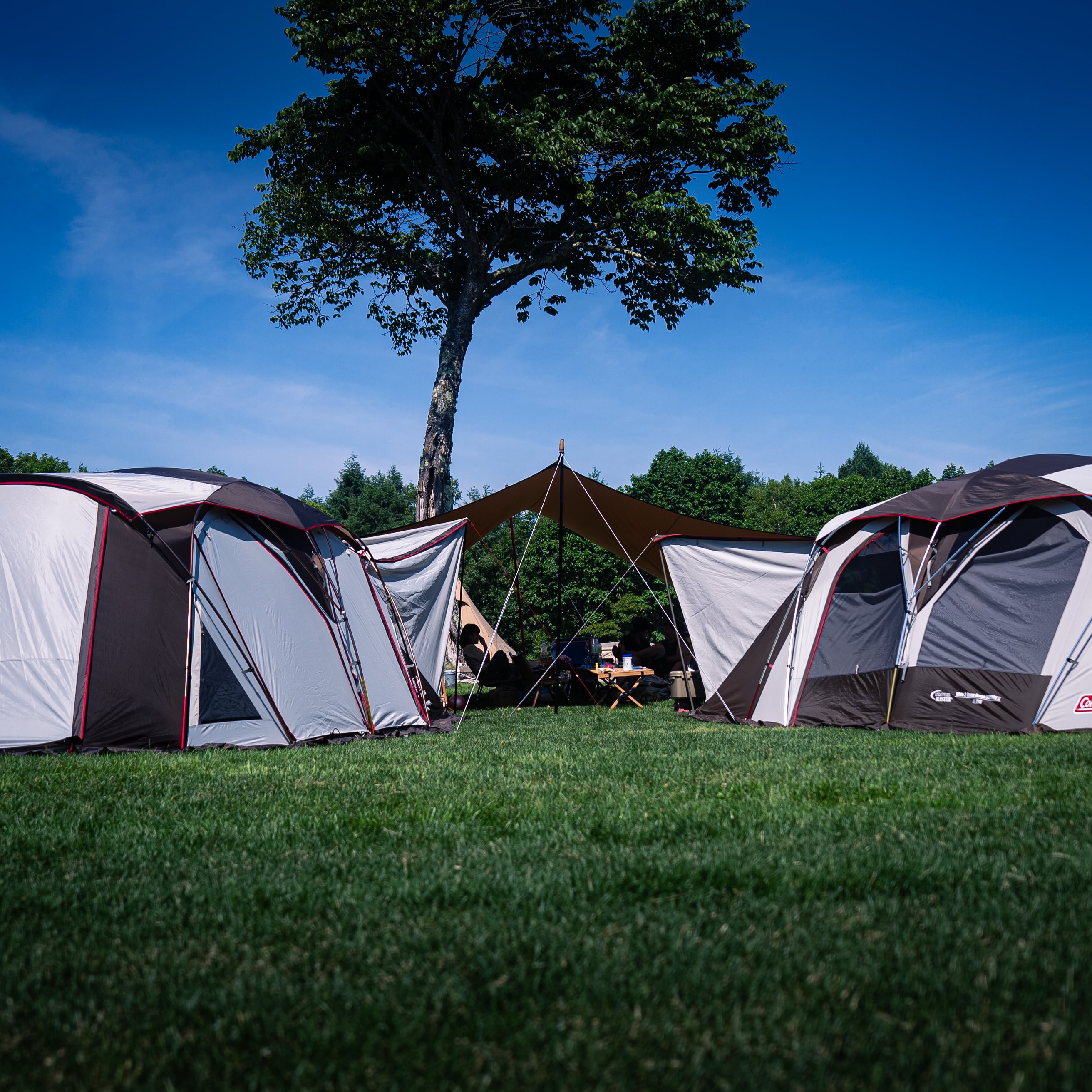 camp