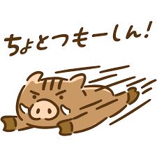 猪年